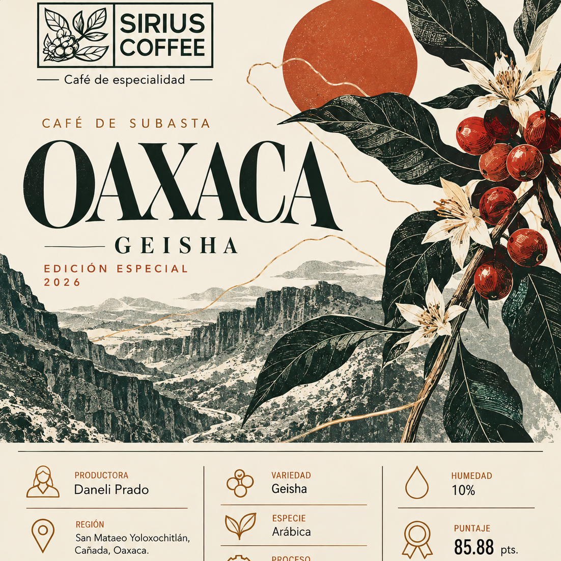 Café Geisha Lavado Experimental