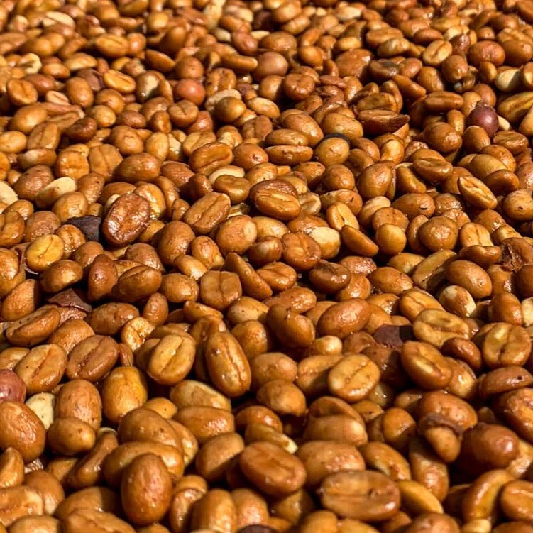 ¿Qué Es el Proceso Honey y Por Qué Revoluciona el Sabor del Café?