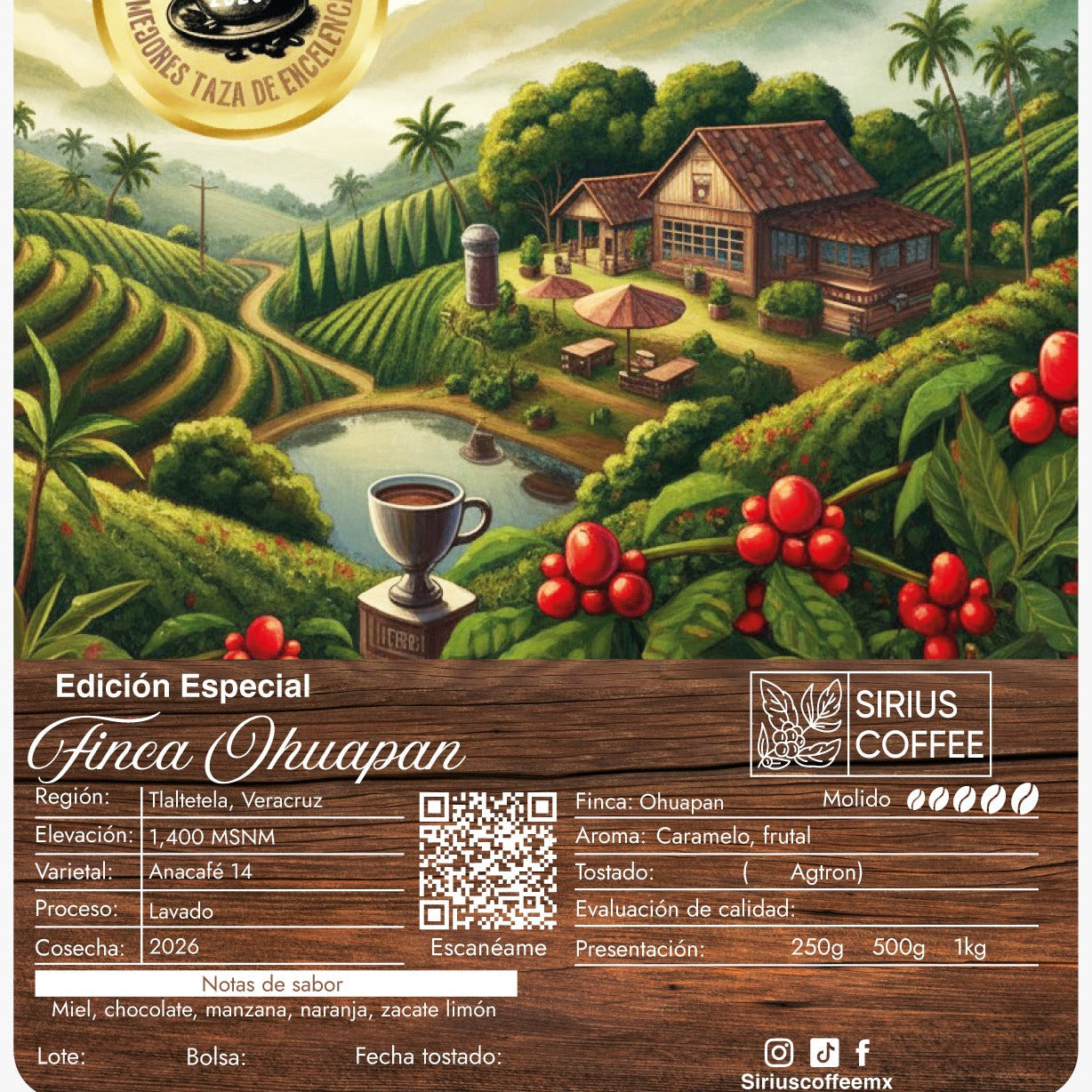 Coffee Finca Ohuapan Anacafé 14