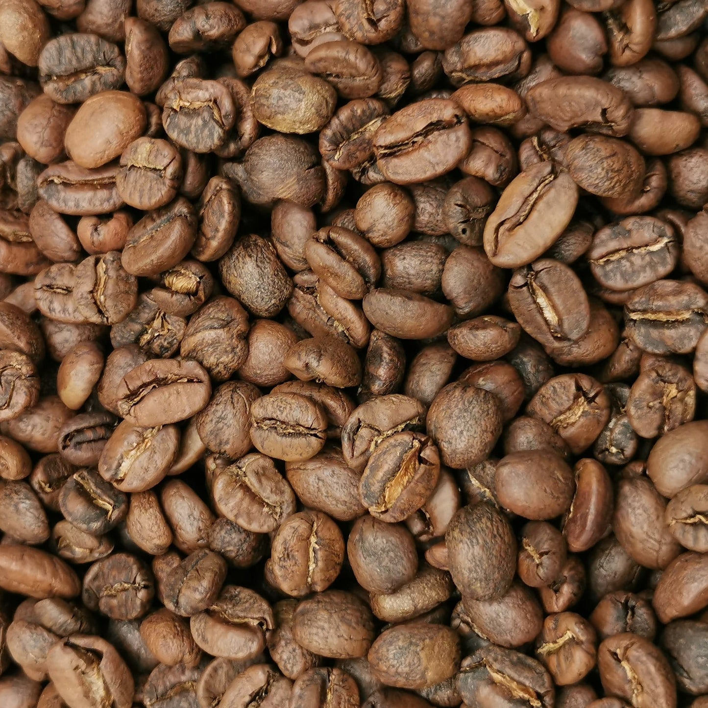 Café Veracruz Doble Fermentación