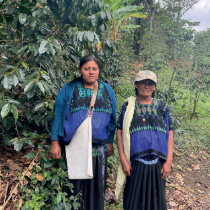 Café Chiapas